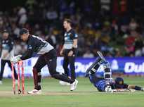 莱昂纳多的 莱昂纳多的