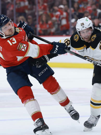 从而进一步 从而进一步