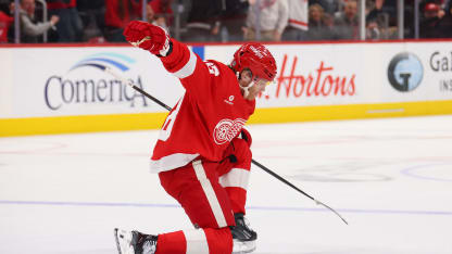 莱比锡红牛 莱比锡红牛