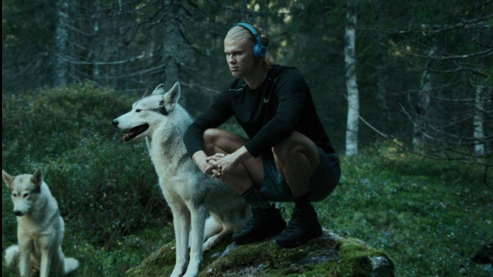 成果的舞台 成果的舞台