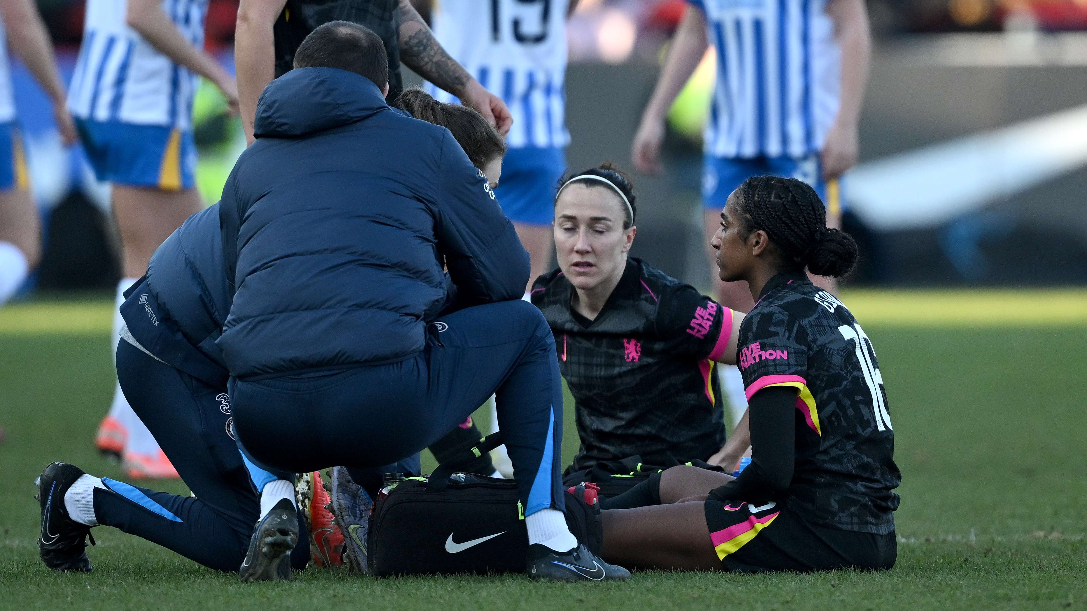 新疆金盾三 新疆金盾三